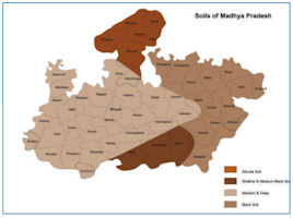 Madhya Pradesh
