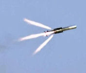 Nag (Cobra) Prospina anti-tank missile