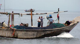 Dhow