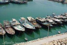 Dhow