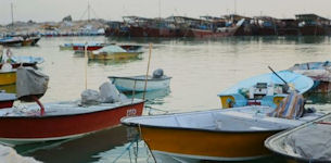 fishing boats