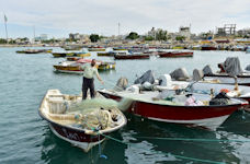fishing boats