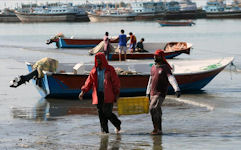 fishing boats