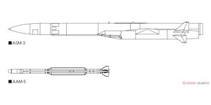 ASM-3