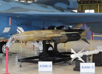 ASM-3
