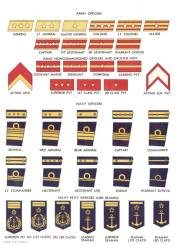 Rank Insignia