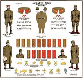 Rank Insignia