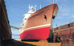 Nuclear Ship Mutsu