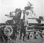 Type 2 Ho-I