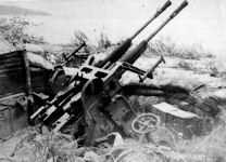 Type96 25mm Anti-Aircraft Artillery