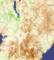 Kenya Harvest 2009