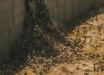 World War Z