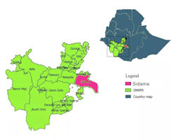 Sidama