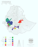 Sidama