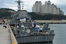 MSH-571 Yang Yang
