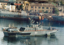 Project 1141 Sokol class [NATO Mukha / Babochka]