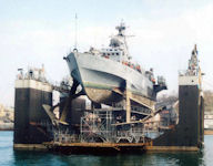Project 1141 Sokol class [NATO Mukha / Babochka]