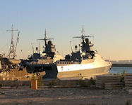 Project 22160 Vasily Bykov