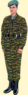 Ceremonial for the system and out of the 
system in VDV