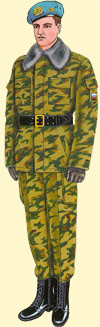 Ceremonial for the system in VDV
