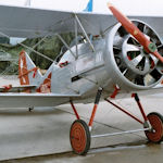 ANT-12