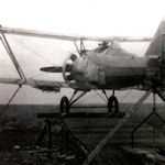 ANT-12