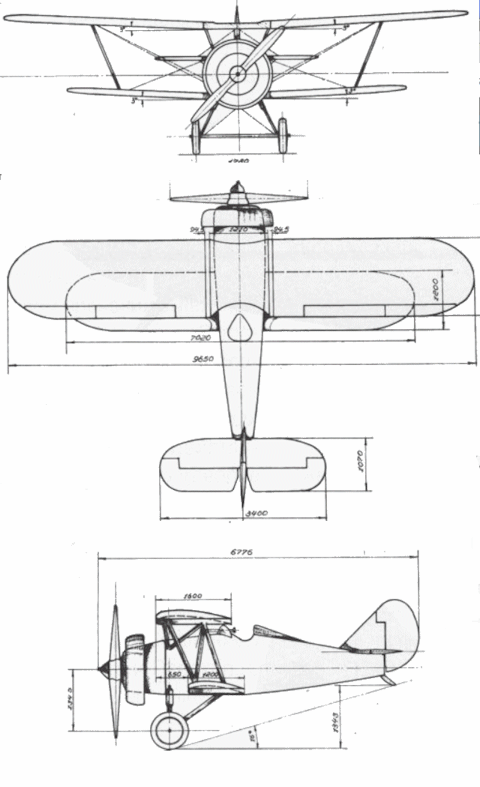 ANT-12