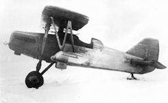 ANT-13