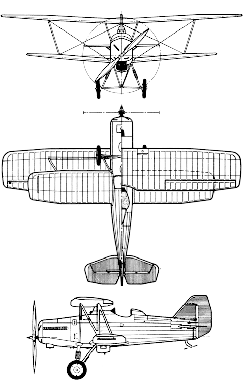 ANT-13
