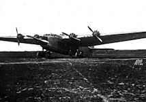 ANT-14
