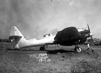 ANT-21