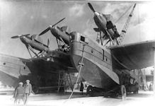 ANT-22