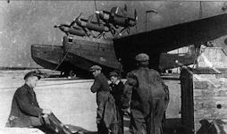 ANT-22