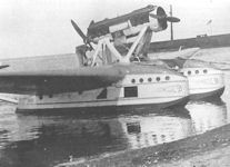 ANT-22