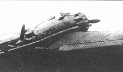 ANT-23
