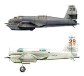 ANT-29