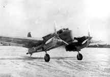 ANT-29
