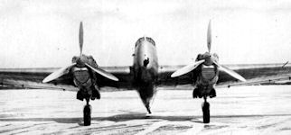 ANT-29