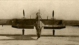 ANT-29