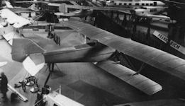 ANT-3