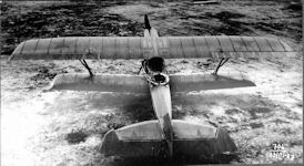 ANT-3