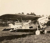 ANT-3