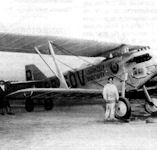 ANT-3