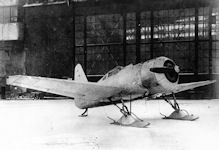 ANT-31