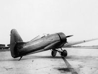 ANT-31