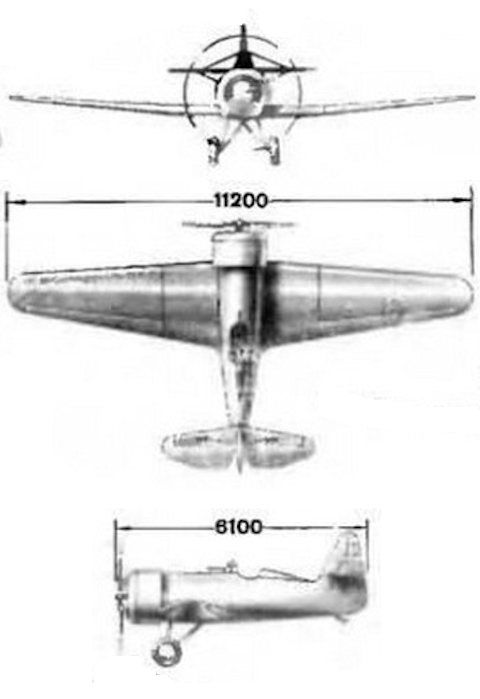 ANT-31