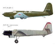 ANT-36