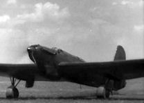 ANT-36