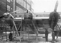 ANT-41