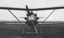 ANT-5